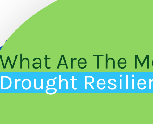 Most drough resilient states