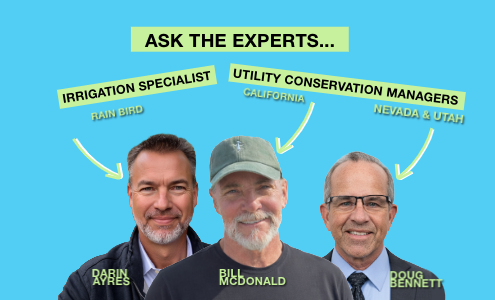 Uniformity is the Hidden Driver of Water Waste