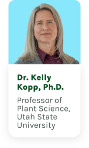 Dr Kelly Kopp
