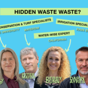 Expert Insights on Leaks and Loss Expert Insights on Leaks and Loss