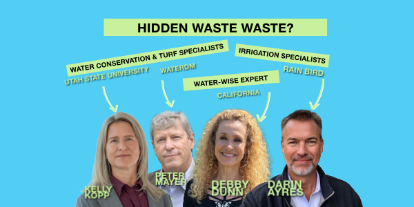 Expert Insights on Leaks and Loss