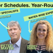 Water waste with controller settings