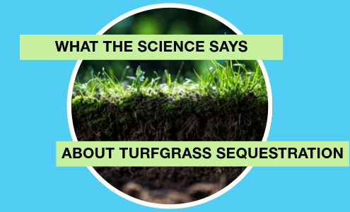 What the Science Says About Turfgrass Sequestration