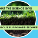 What the Science Says About Turfgrass Sequestration