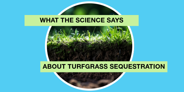 What the Science Says About Turfgrass Sequestration