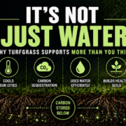 carbon sequestration and turf