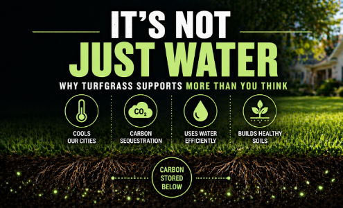 carbon sequestration and turf