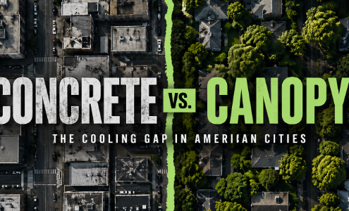 heat islands and canopy