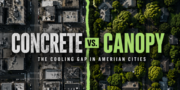 heat islands and canopy